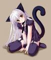 catgirl - ait Kullanc Resmi (Avatar)