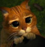 hnfdgn nickli yeye ait kullanc resmi (Avatar)