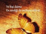 sulenur nickli yeye ait kullanc resmi (Avatar)