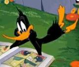 daffy duck nickli yeye ait kullanc resmi (Avatar)