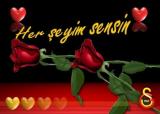 minik sere nickli yeye ait kullanc resmi (Avatar)