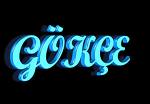 gokce_08_55 nickli yeye ait kullanc resmi (Avatar)