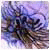 kicedudge nickli yeye ait kullanc resmi (Avatar)
