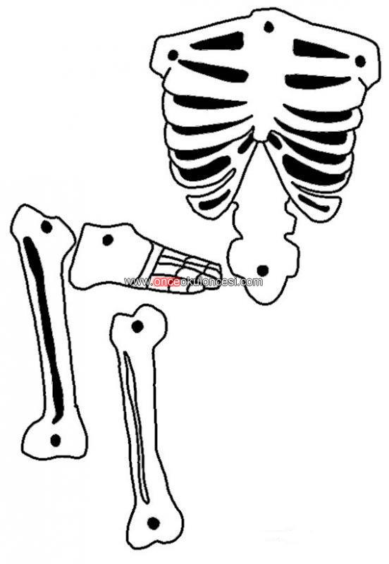 Напечатанные кости. Кости Кощея Бессмертного. Скелет человека. Скелет шаблон. Кости Кощея для печати.