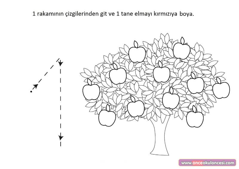 Sayi Kavrami Ve Matematik Etkinlikleri