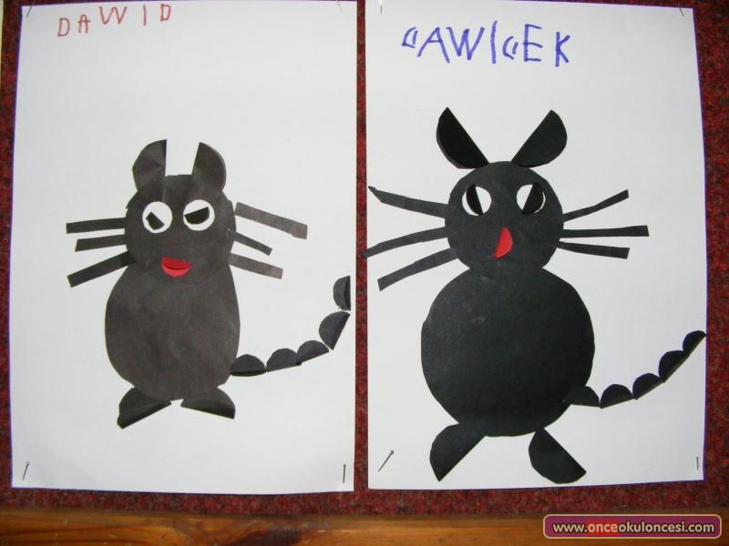 Kara Kedi Etkinliği